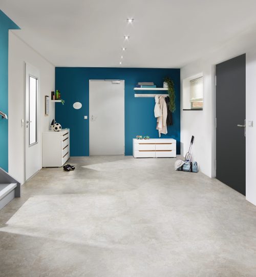 feuerschutztür h8 5 ral 7035 und sicherheitstür ksi thermo46 ral 7016